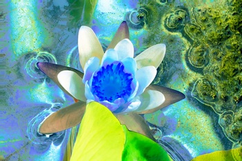 F 013B